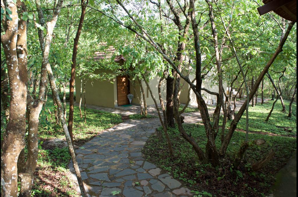The Windflower Jungle Resort & Spa, Bandipur Bagian luar foto