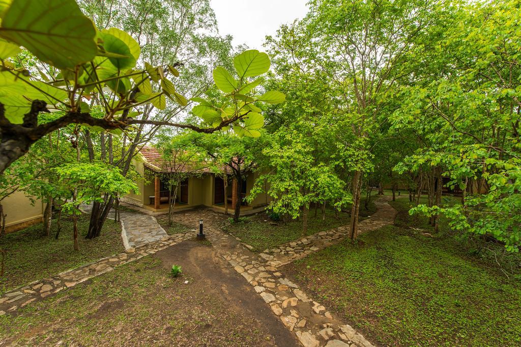 The Windflower Jungle Resort & Spa, Bandipur Bagian luar foto
