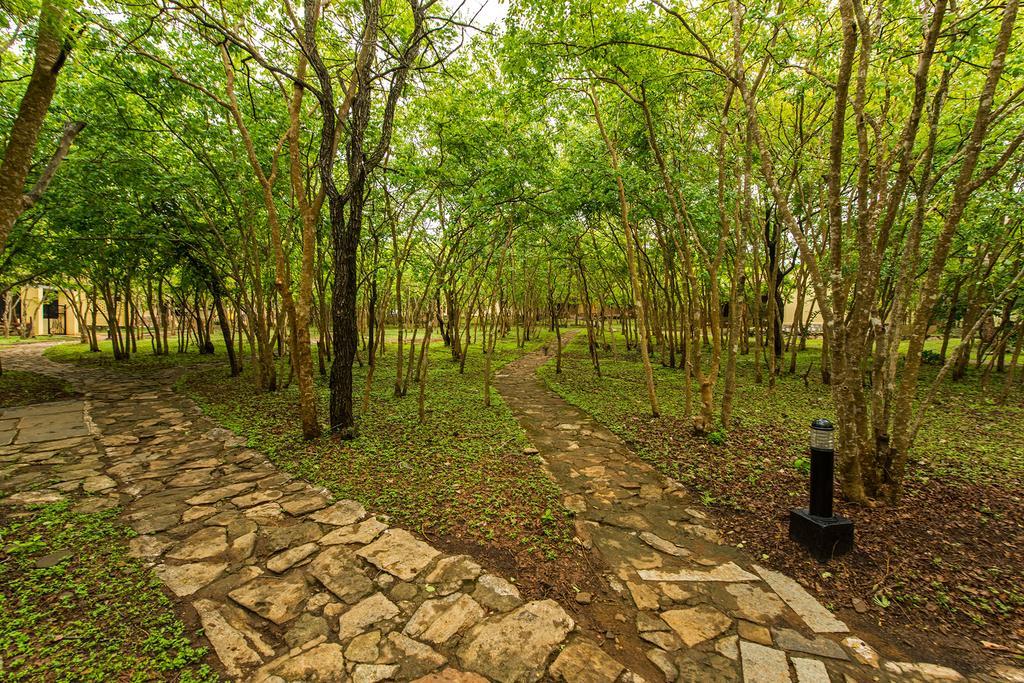 The Windflower Jungle Resort & Spa, Bandipur Bagian luar foto