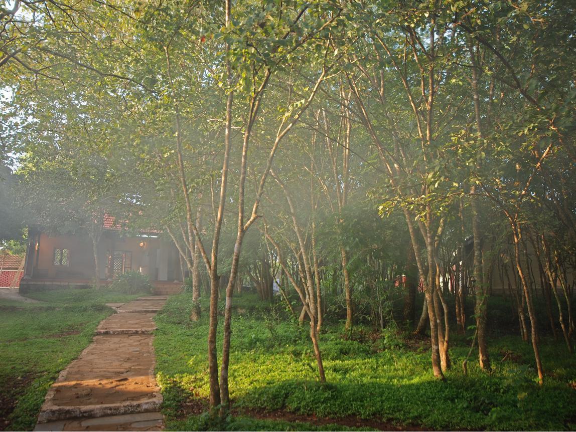 The Windflower Jungle Resort & Spa, Bandipur Bagian luar foto
